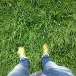 [LIFE]아일랜드 - 아일랜드에서의 힐링