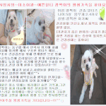 깜찍~! 깜찍이^^