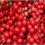 우리나라 생명<b>산업</b>의 진화하는 기술을 만나다