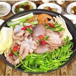 가수 김현정의 낙지 다이어트