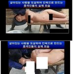 [개념좀] 인신매매 실제현장입니다..(초극혐)