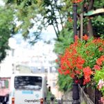 제대로 듣기 <<b>월간</b> 엘로히스트> 중에서...하나님의교회 안증회