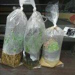 택배왔다!!!!!!!!!!!1