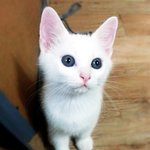 태봉씨 뭐하세요?!