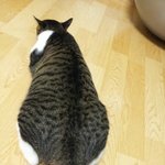 내 이럴 줄 알았지…인연이었나봐요^^