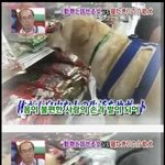 [팔부] 중병에걸린 <b>간호</b>견이야기