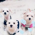로또 이십억!!!