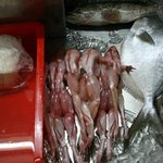 [박물관] [그때그판] 개구리 요리의 주 재료는?