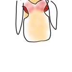 [년시리즈] @@@@@@@@<b>노출증</b>녀@@@@@@@@@