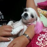 [도와주세요] 찾아주세요 ㅠㅠ