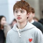 [EXO] 디오 공연이나 콘서트 직캠 보니까 
