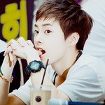 [EXO] 요즘 아이돌 2대 머글킹 (첸 내려요)