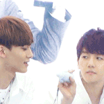 [EXO] 어디서 <b>비글</b>소리가...ㅋㅋㅋㅋ
