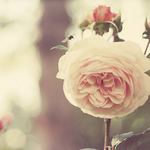 텝스 900<b>중후</b><b>반</b> 점수 받기 힘들어요? 텝스ㅠㅠ