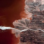 [밤비이야기] 05. 자연의 파괴