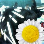 [EXO] 엑소한테 <b>집착</b> 여기서 시작했나봐 2