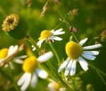 스트레스 줄이는 단월드 <b>명상</b>법