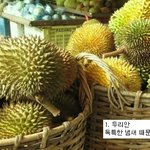 외국인이 뽑은 아시아 이색음식