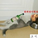 [EXO] <b>엽사</b>모음