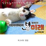뇌성마비 고양이 미래 #24 <b>발정</b>