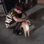 [틴탑] 동물을 사랑하는 <b>리키</b>