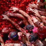 꼭 외국이어야 하나? 사회 초년생 역마살 달래기