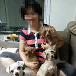 [이삐네] 아이들을 찾아주세요