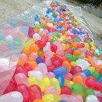 물풍페 !!! 한국에 <b>상륙</b>한다니!!!!