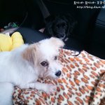 [쁜이] 녀석은 새 삶을 살 수 있을까요? 7편