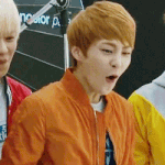 [EXO] 판포토가면