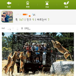 [배꼽<b>조심</b>] 관광 나왔다가 도리어 역관광 당하는 게 유머