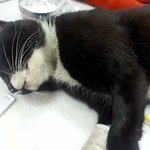 죽을힘을 다해 걸었어요...살고싶어서...