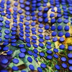 가을을 책임질 트렌드 <b>컬러</b> '로얄블루'