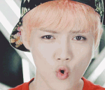 [EXO] 근데 내가 애들<b>중국</b>멤버 과사 보면서 생각한건데 