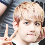 [exo] 바이사요나라