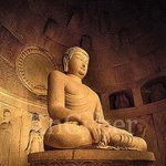 [불사조] 바퀴벌레몇마리먹었을때기분제일나쁠까