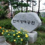 금개구리를 아시나요?2