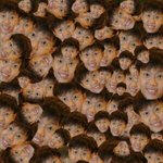 [블락비] 박경 랩