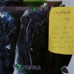 훈훈한 <b>포도</b>