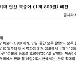 충격 일본 후쿠시<b>마산</b> 복숭아 태국으로 수출....jpg