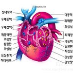 심장암!!