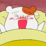 [BAP] <b>dvd</b>!