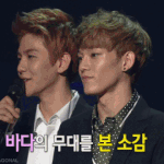 [EXO] 솔직히 김종대 외모중에서