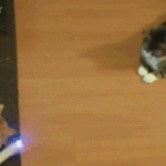 [<b>돌체</b>] 모두 안녕하세요 ㅎㅎ