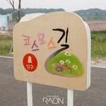 강릉 경포저류지 코스모스길 (낭만길) 