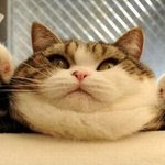 왜 <b>자도</b>자도 졸린거죠?
