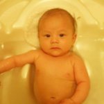 [사고뭉치네] 우리집 사고뭉치들을 소개합니다..