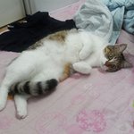 [우람이] <b>마법</b>에걸린날 ~