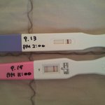 [댓글부탁] 임신맞는거죠???