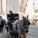 [스물넷오솔] 스물넷 시골여자, 미국 가다 - 뉴욕6, 캐나다